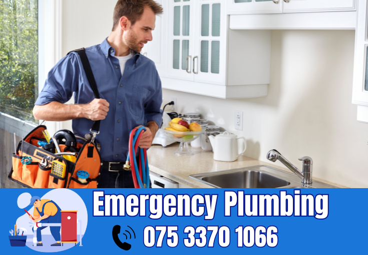  plumber Shorne